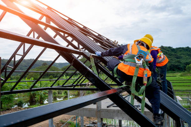 Best Metal Roofing Contractor  in Shields, MI