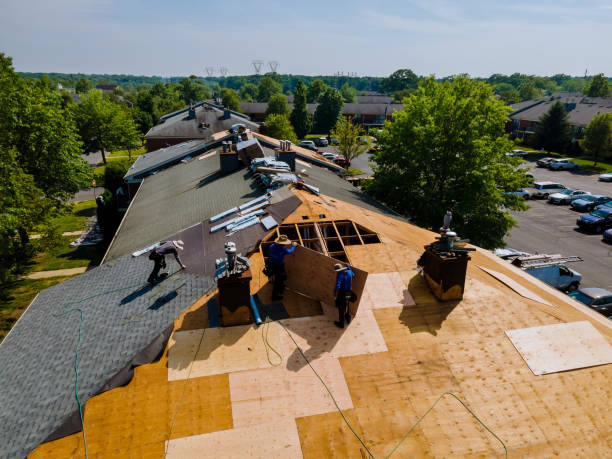 Best Storm Damage Roof Repair  in Shields, MI