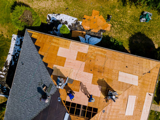 Best Commercial Roof Installation  in Shields, MI