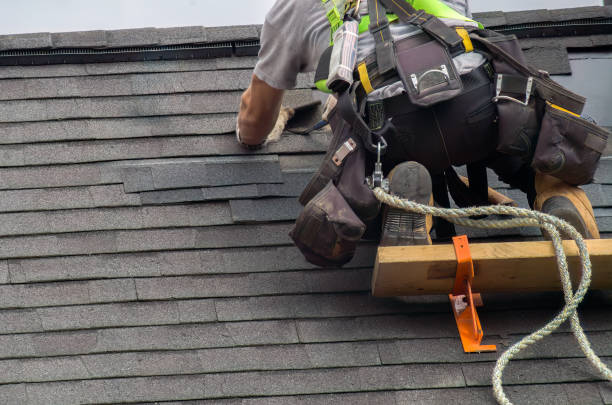 Best Emergency Roof Repair  in Shields, MI