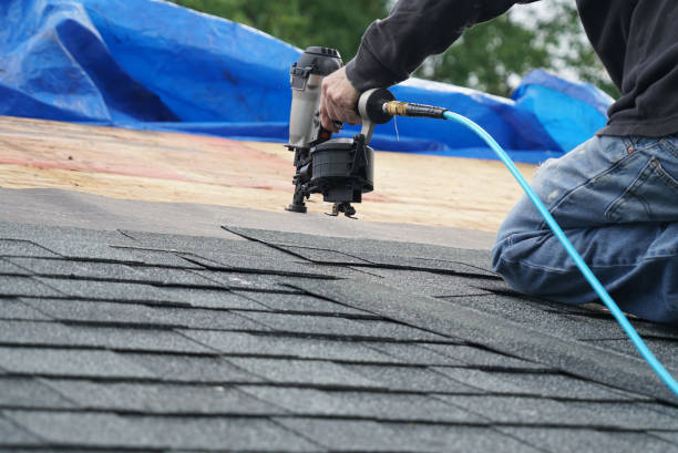 Best Roof Repair Specialists  in Shields, MI
