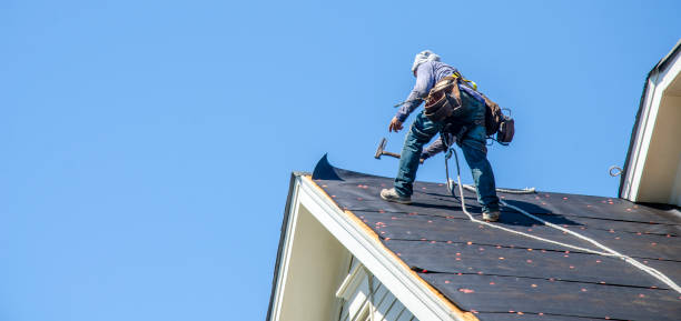 Best Roof Waterproofing Services  in Shields, MI