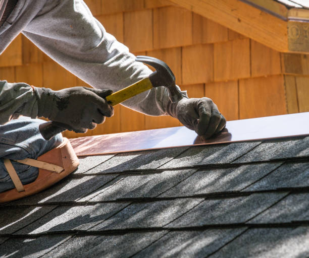 Best Local Roofing Companies  in Shields, MI